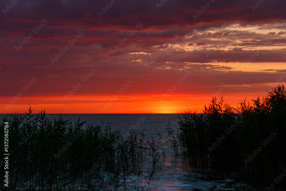The Curonian Spit, sunset, summer