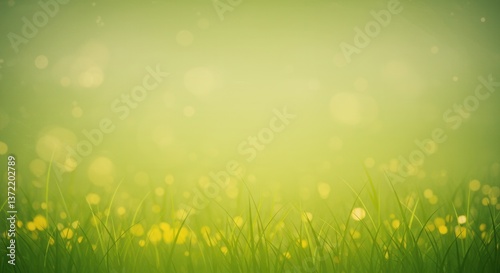 Soft Focus Spring Meadow: Dandelions & Gossamer Light