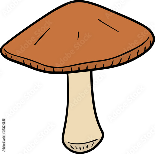 Illustration of mushroom
