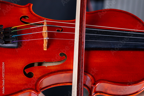 close up of music instrument strings