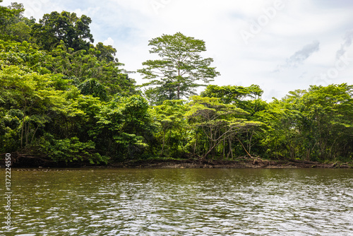 Tropical rock island covered with palm trees and dense jungle rises from the calm waters of Triton Bay, West Papua, Indonesia. A stunning seascape surrounded by untouched rainforest and cloudy skies.