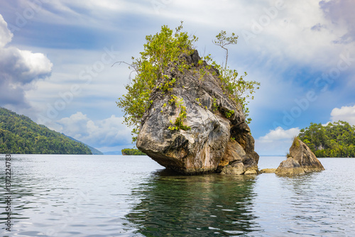 Tropical rock island covered with palm trees and dense jungle rises from the calm waters of Triton Bay, West Papua, Indonesia. A stunning seascape surrounded by untouched rainforest and cloudy skies.