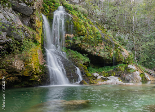 waterfall in the forest