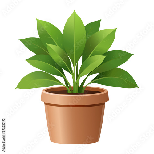 Decorative houseplant in flowerpot for interior home decoration