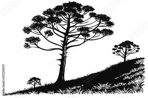 Black tree silhouette vector art showing lone oak branches against a winter sky