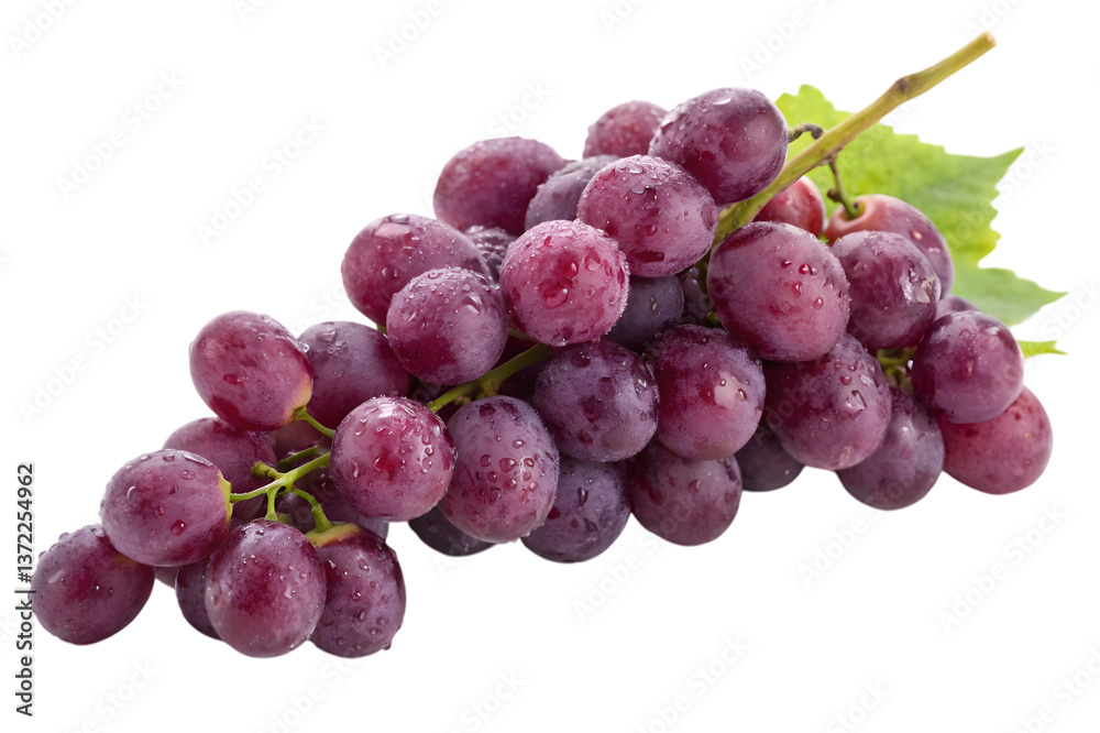 Bunch of Grapes, Isolated White Background, Transparent Background, PNG Bunch of Grapes, Isolated White Background, Transparent Background, PNG