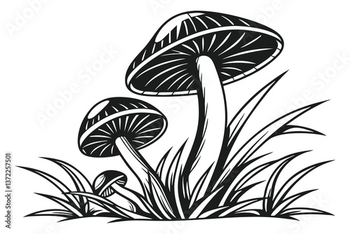 Brown autumn mushrooms, a natural fungus in green moss