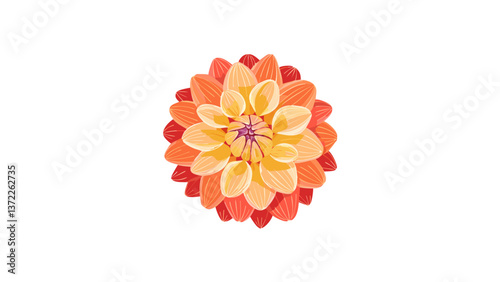 dahlia