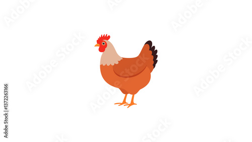 chicken,