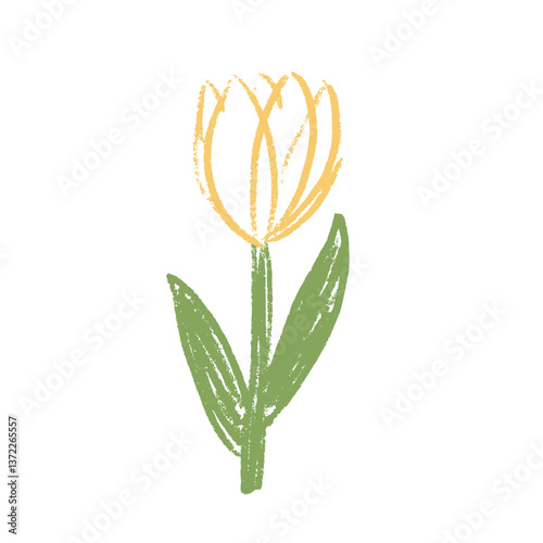 Tulip flower crayon drawn. Spring crocus plant doodle isolated on white background. Summer floral kids element. Chalk or pastel style childish scrawl nature shape. Vector naive illustration by pencil.