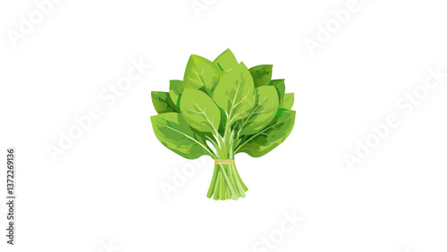 spinach