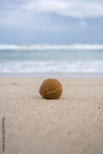 Ein Meerball am Traumstrand photo