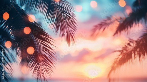 Palm Shadows & Sunset Lights