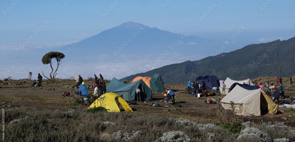 Kilimanjaro, Tanzania: Scenery of Shira Camp on trail to Kilimanjaro with tents and silhouette of Mount Meru on horizon, Machame Route, Tanzania