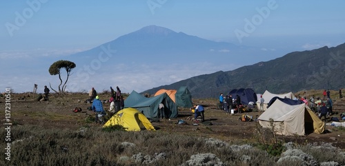 Obraz na płótnie Kilimanjaro, Tanzania: Scenery of Shira Camp on trail to Kilimanjaro with tents and silhouette of Mount Meru on horizon, Machame Route, Tanzania w salonie