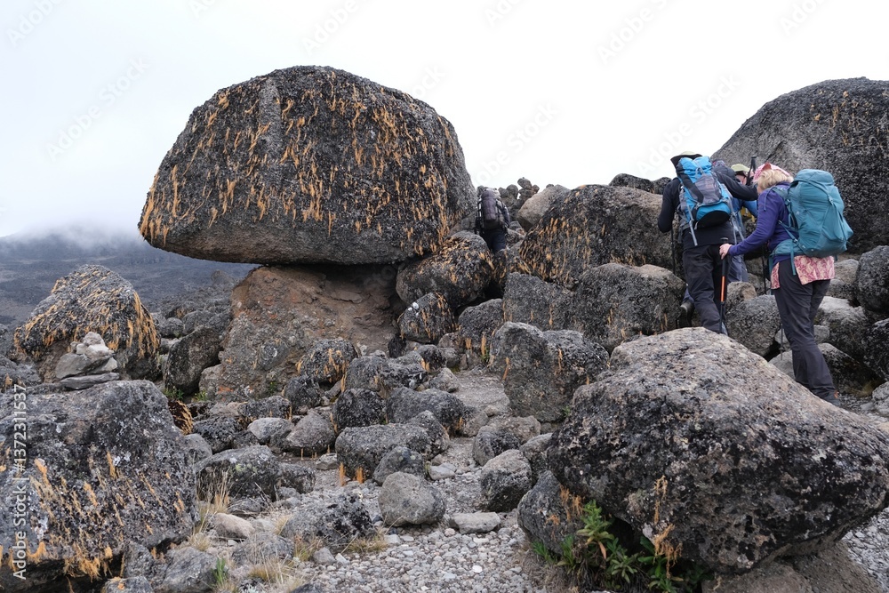 Kilimanjaro, Tanzania: 20 February 2025: Group of people in volcanic scenery trail on Kilimanjaro, Machame Route, trail from Shira Camp to Barranco Camp. Tanzania