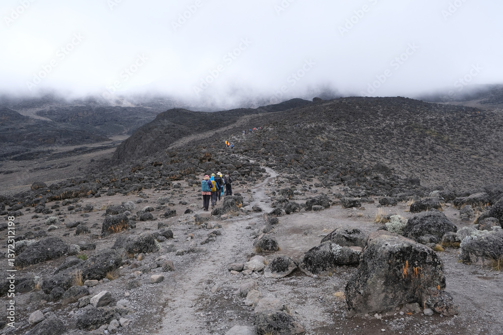 Kilimanjaro, Tanzania: 20 February 2025: Group of people in volcanic scenery trail on Kilimanjaro, Machame Route, trail from Shira Camp to Barranco Camp. Tanzania