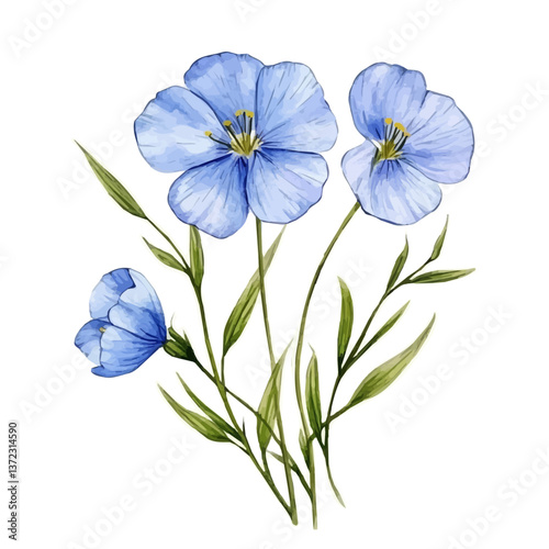 A watercolor vector of a Flax Flower, isolated on a white background. Flax Flower vector

