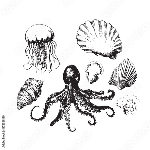 Hand-Drawn Marine Life Illustration in Vintage Ink Style