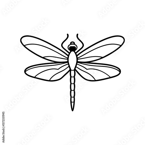 Dragonfly with transparent wings line art illustration