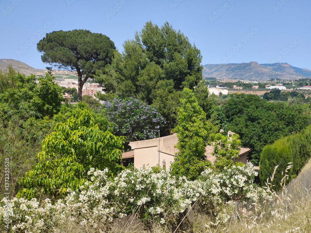 Village in nature