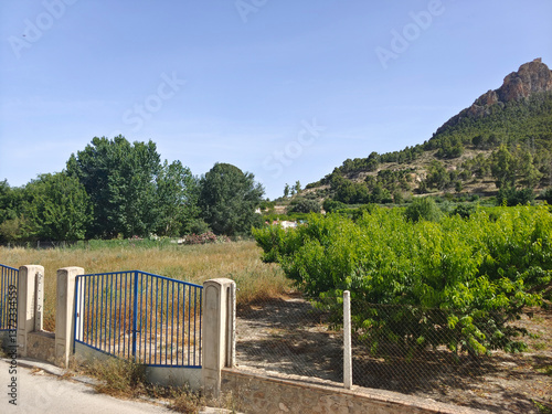Village in nature