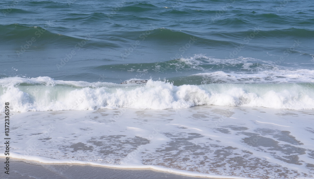 Starfish on Sandy Beach with Gentle Waves Starfish on Sandy Beach with Gentle Waves