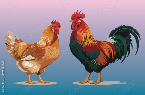 Rooster and Hen Picture. Vector Illustration or Icon