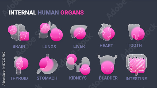 Glass morphism Internal human organ icon set on dark background. Vector anatomical symbol