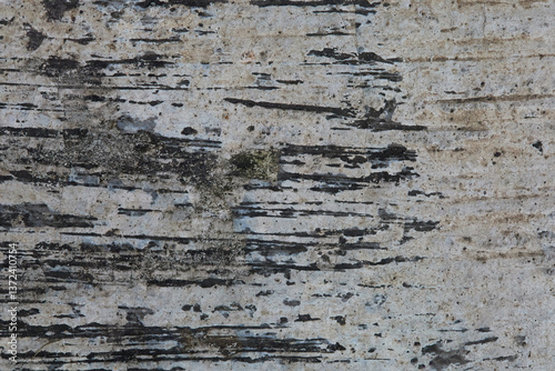 Close up Macro Shot Highlighting Unique Texture Patterns on an Aged Concrete Surface