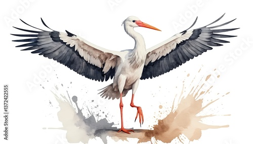 Watercolor Stork with Wings Spread