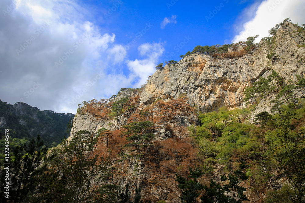 Scenic landscape of Sutjeska National Park, Bosnia and Herzegovina Scenic landscape of Sutjeska National Park, Bosnia and Herzegovina