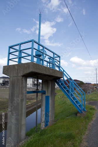 倉敷川　満開の河津桜の春　倉敷川親水公園
