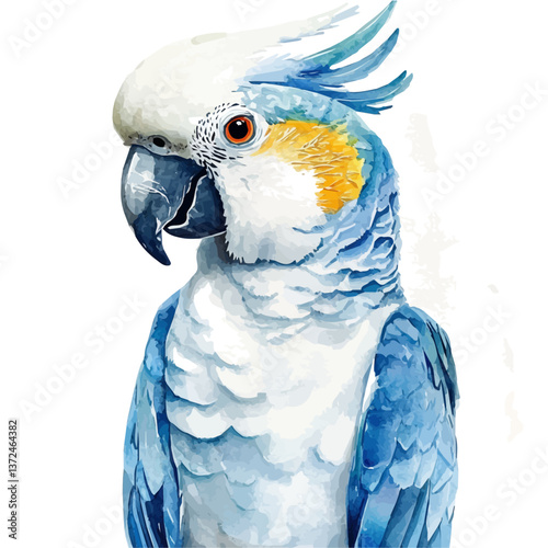 A watercolor of a cockatoo, isolated on a white background. Cockatoo vector.

