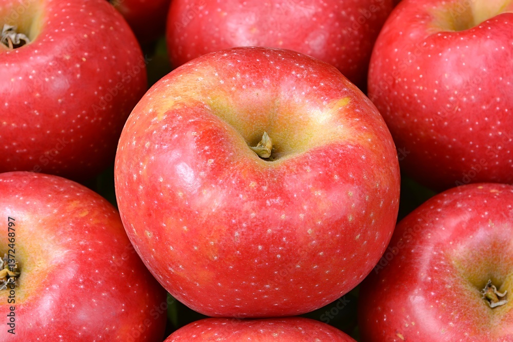 Close-up of Fresh, Ripe Red Apples A Detailed Image of Juicy Fruit. Close-up of Fresh, Ripe Red Apples A Detailed Image of Juicy Fruit.