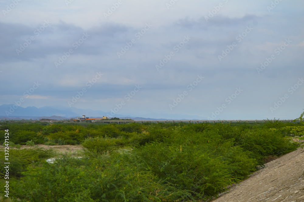 Obraz premium trees in river landscape nature