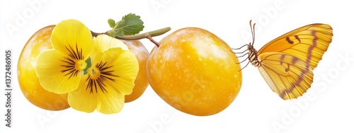 Mirabelle plum with yellow butterfly on white background vibrant colors