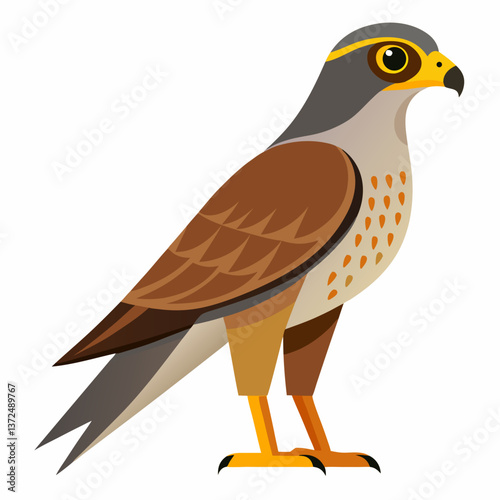 Minimal Northern Harrier Vector Illustration on White Background