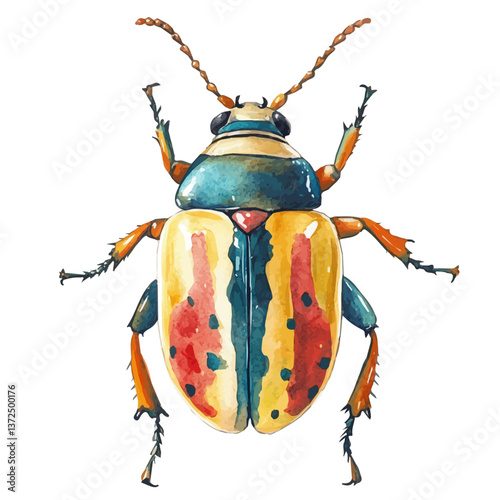 A watercolor vector of a Beetle, isolated on a white background. Beetle vector.

