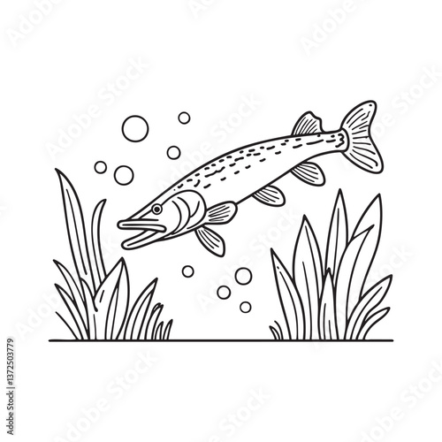 pike swimming stealthily among underwater plants