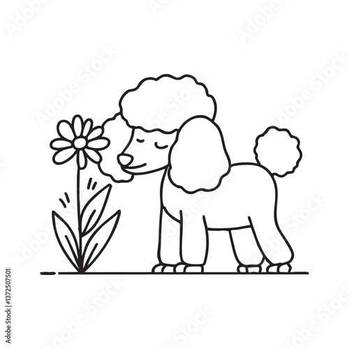 A poodle sniffing a flower in a garden