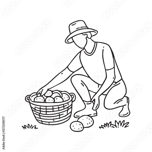 A farmer harvesting potatoes, filling a nearby basket