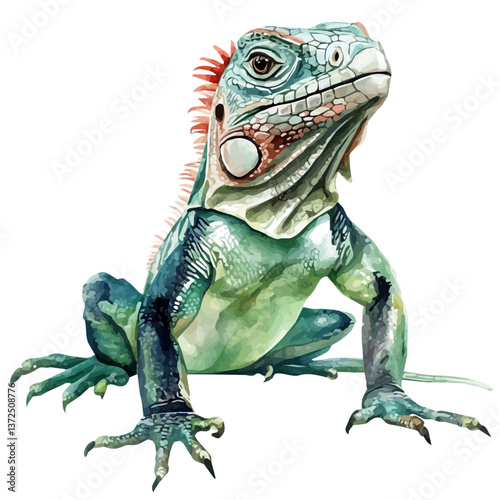 A watercolor vector of a Banded iguana, isolated on a white background. Banded iguana vector.

