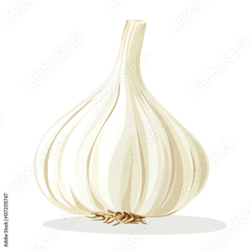 Flat vector garlic, minimalist design, isolated on a white background.

