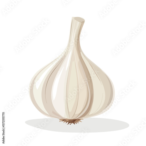 Flat vector garlic, minimalist design, isolated on a white background.

