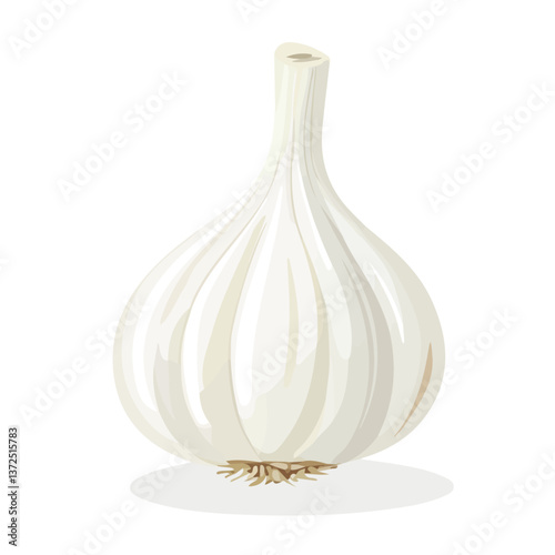 Flat vector garlic, minimalist design, isolated on a white background.

