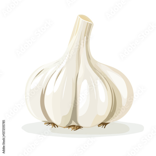 Flat vector garlic, minimalist design, isolated on a white background.

