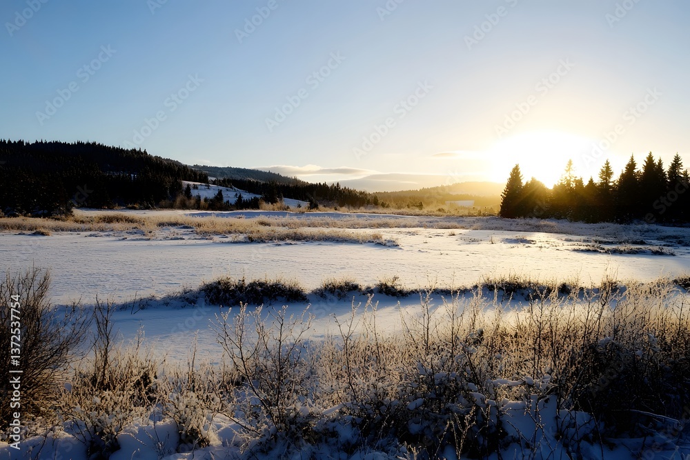 Fototapeta premium Snowy field meets sunrise. Mountains & trees in the background