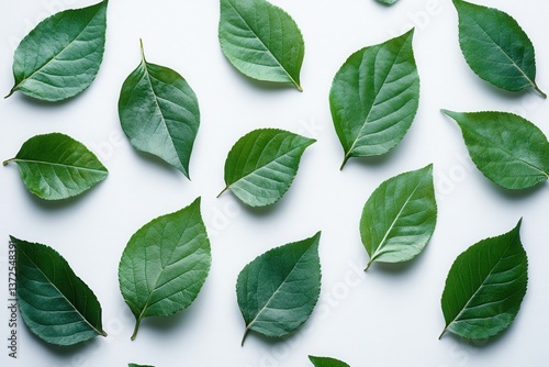 Fresh Green Leaves Pattern on White Background in Flat Lay Style Capturing Natural Beauty and Serenity for Eco Friendly Designs and Botanical Themes