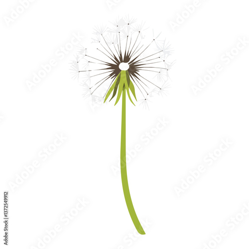 Flat vector dandelion, minimalist design, isolated on a white background.


